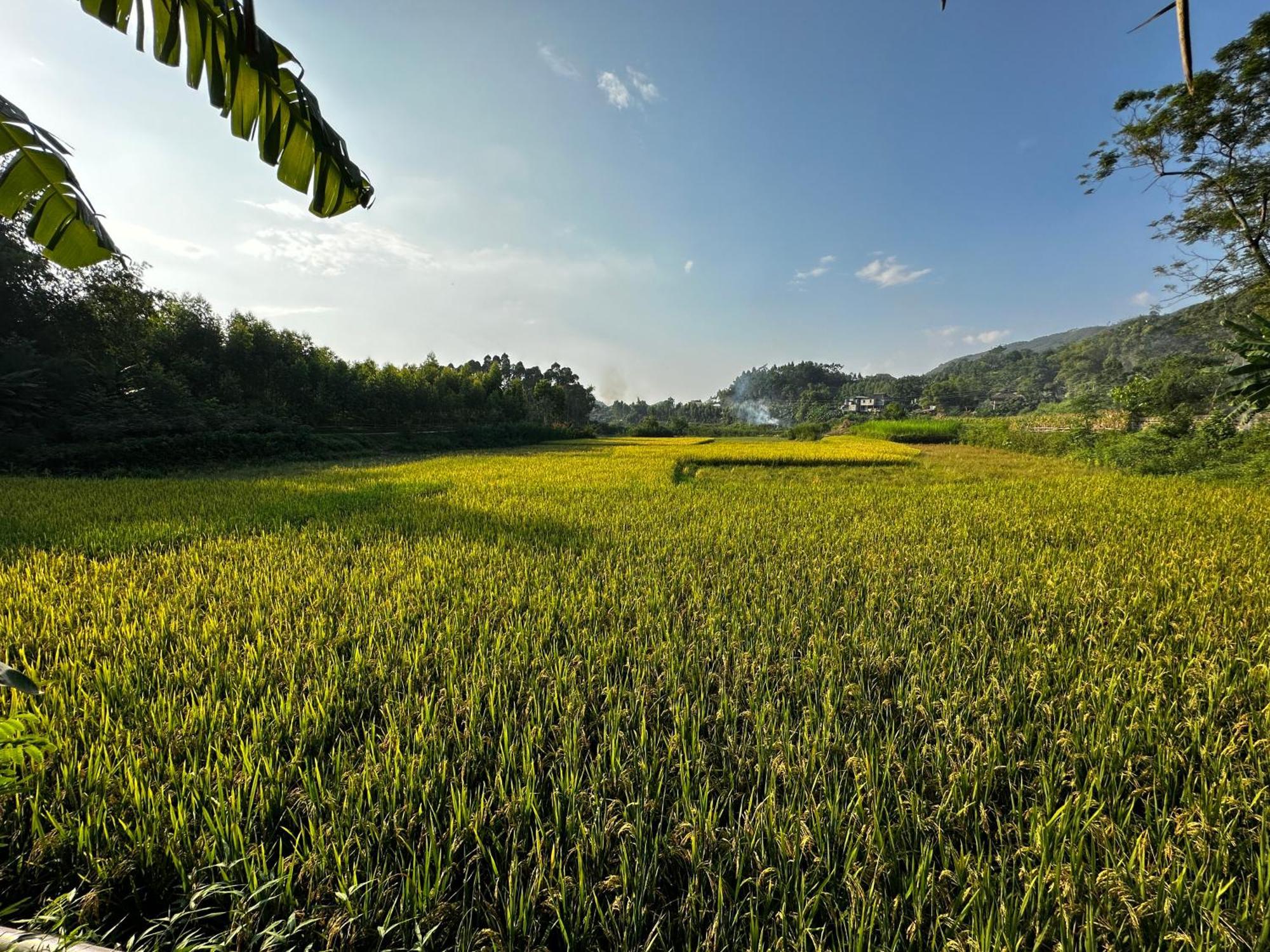 Vulinh Family -Homestay Yen Binh Luaran gambar