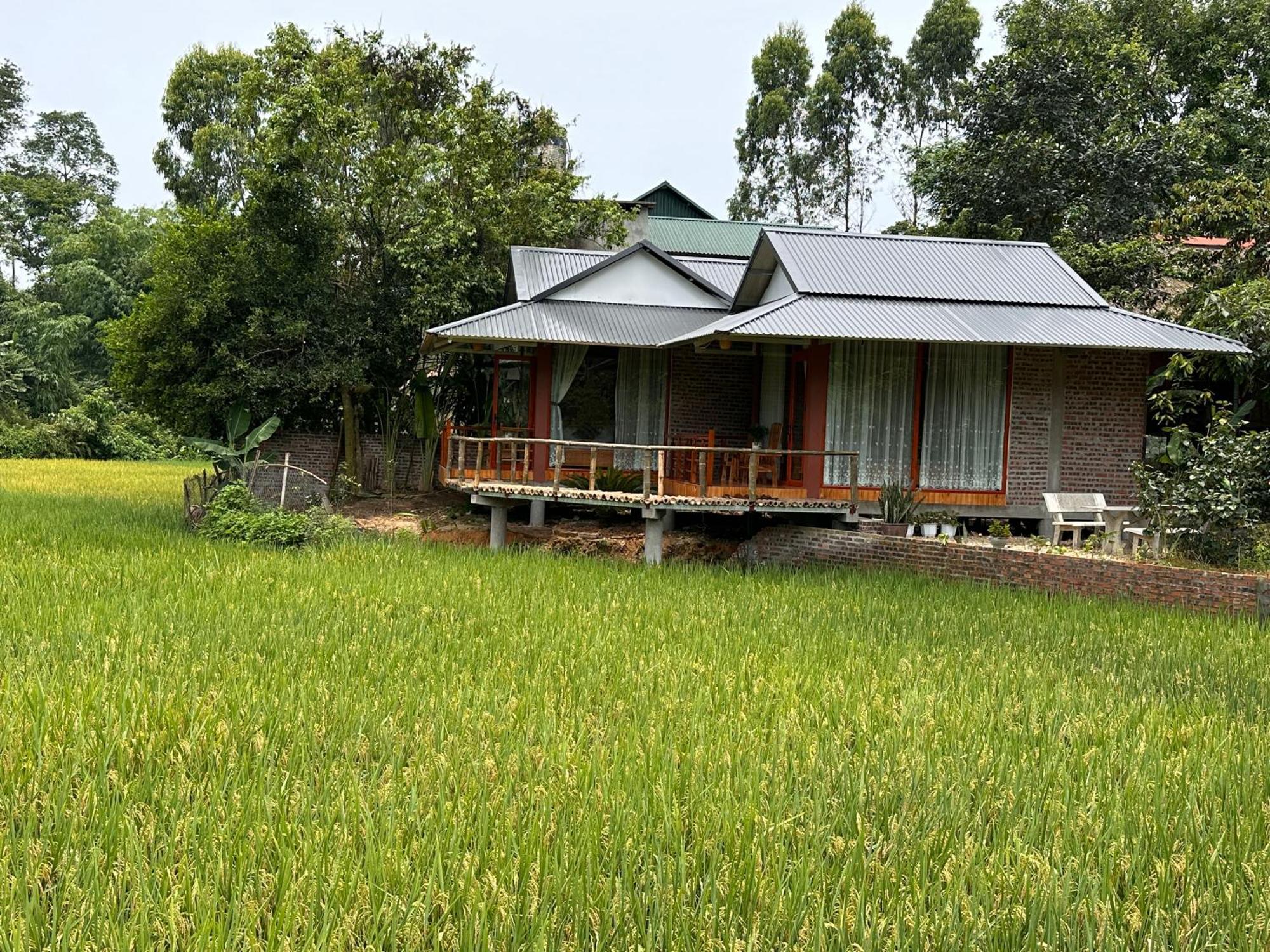 Vulinh Family -Homestay Yen Binh Luaran gambar