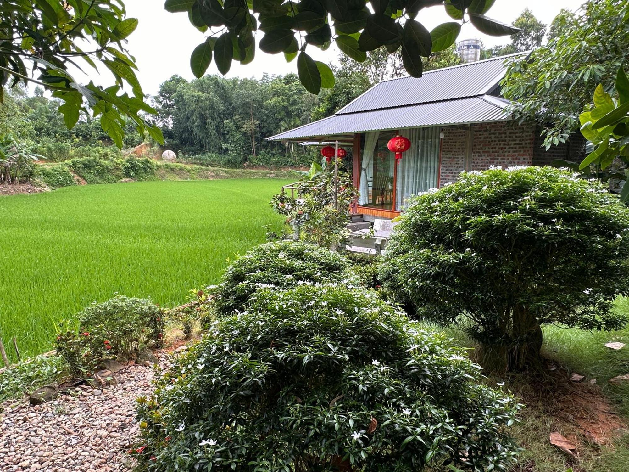 Vulinh Family -Homestay Yen Binh Luaran gambar